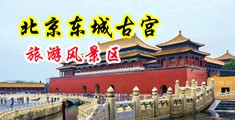 痴汉扯奶子中国北京-东城古宫旅游风景区
